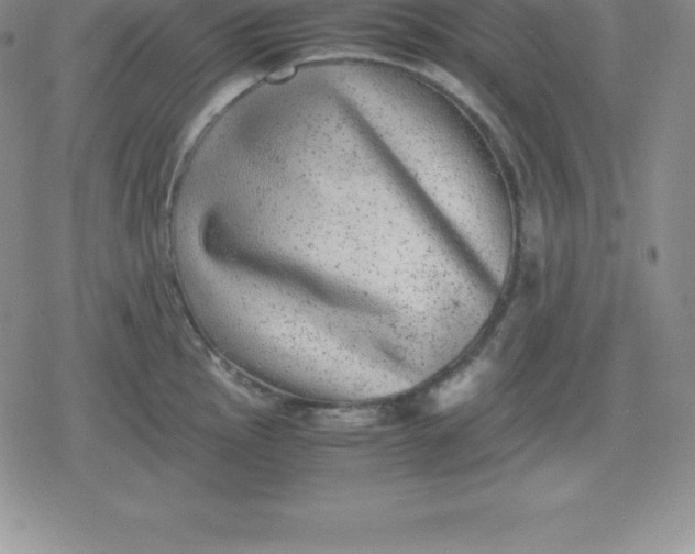 X0000080191145200612221334