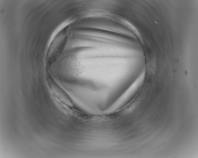 X0000080191146200612221334