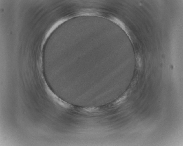 X0000080191147200612221334