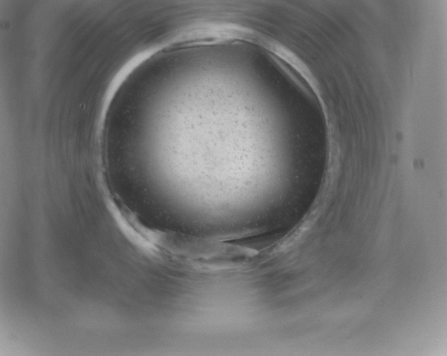 X0000080191152200612221334