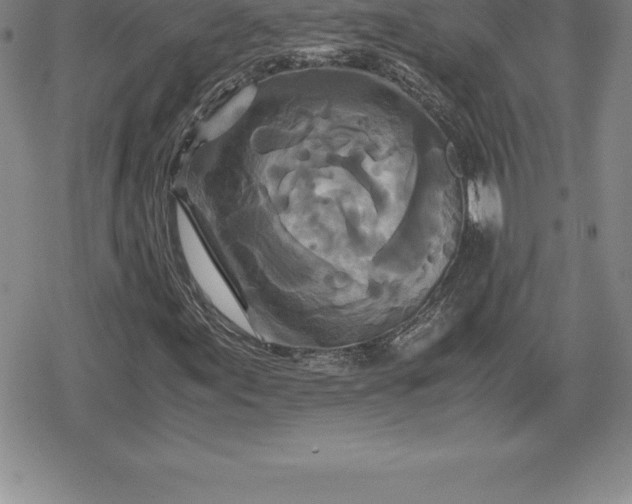 X0000080191155200612221333