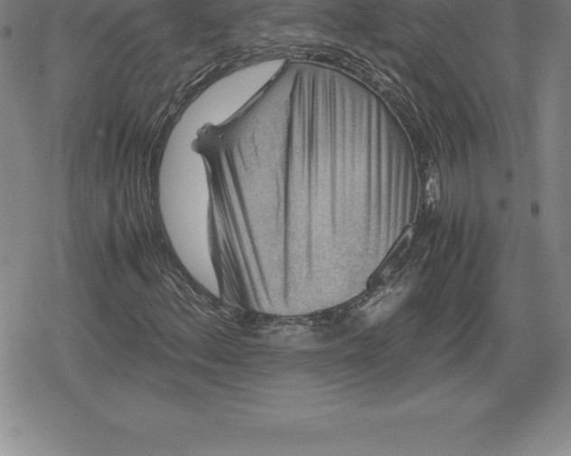X0000080191156200612221333