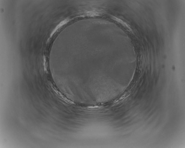 X0000080191160200612221333