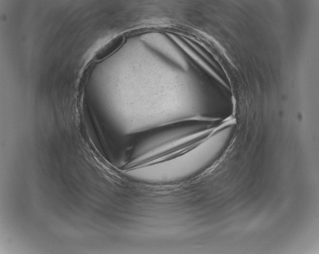 X0000080191168200612221333