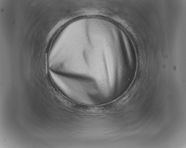 X0000080191175200612221333