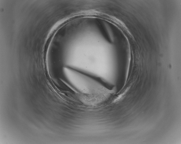 X0000080191176200612221333