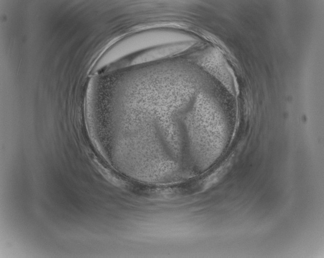 X0000080191177200612221333