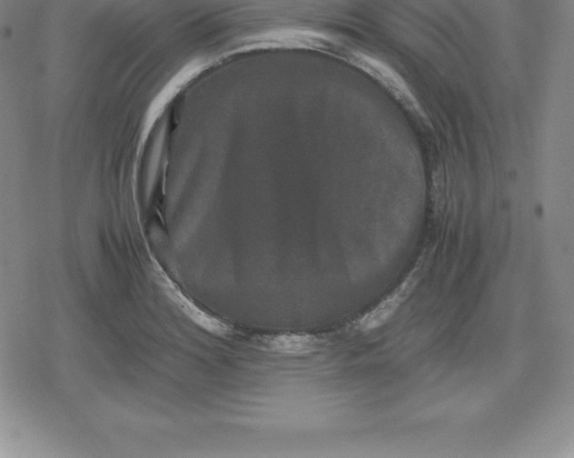 X0000080191180200612221333