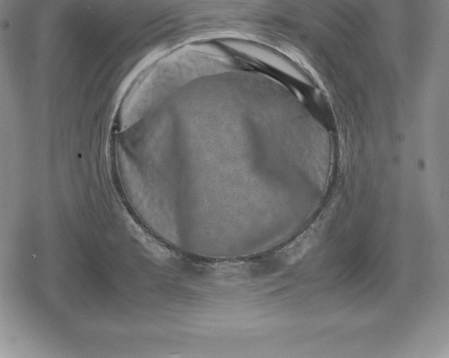 X0000080191181200612221333