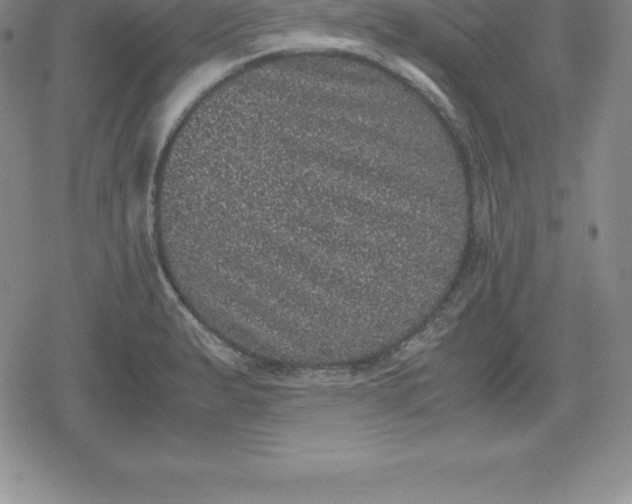 X0000080191183200612221333