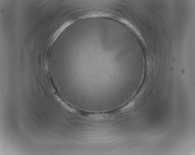 X0000080191185200612221333