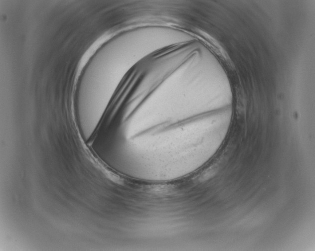 X0000080191188200612221333