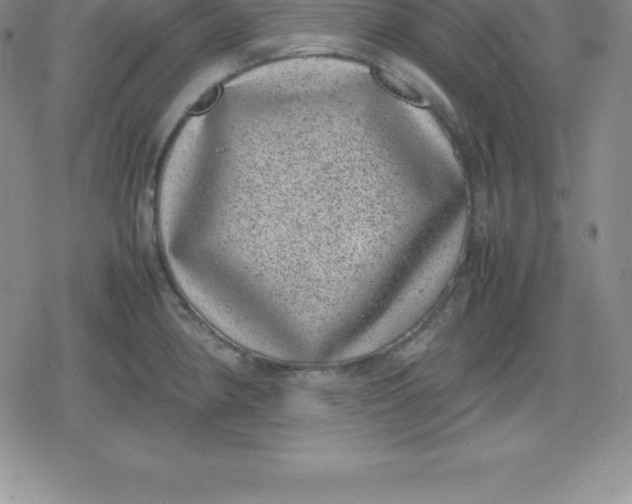 X0000080191190200612221333