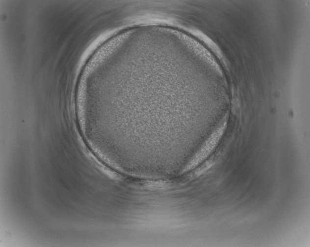 X0000080191191200612221333