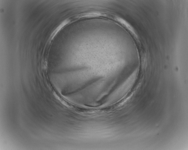X0000080191193200612221333