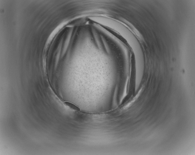 X0000080191196200612221333