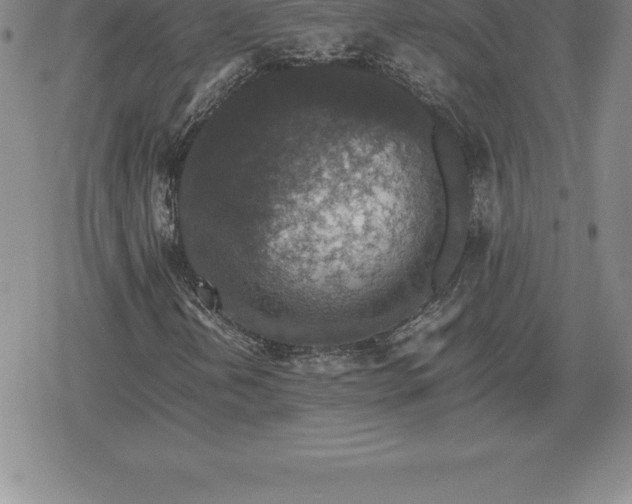 X0000080191202200612221332