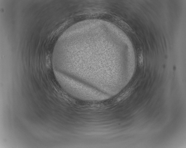 X0000080191204200612221332