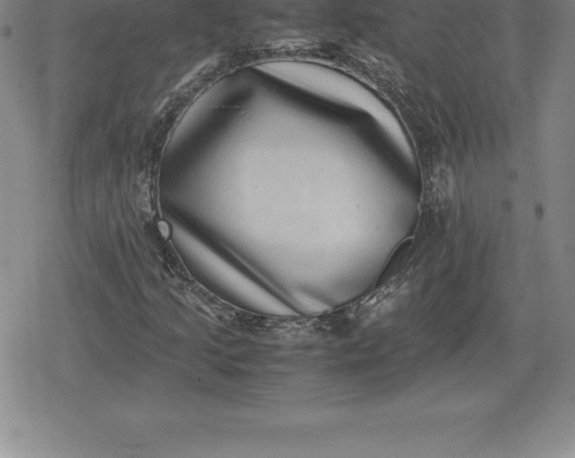 X0000080191205200612221332