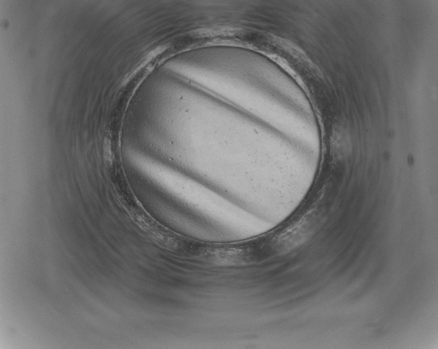 X0000080191209200612221332