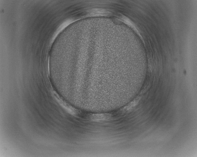 X0000080191227200612221332