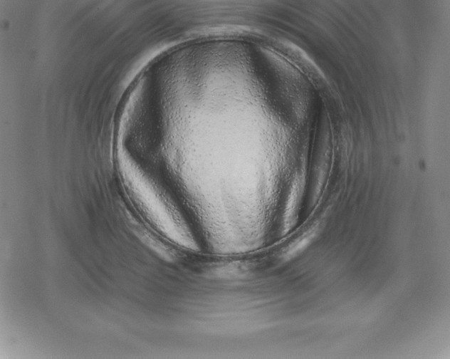 X0000080191228200612221332