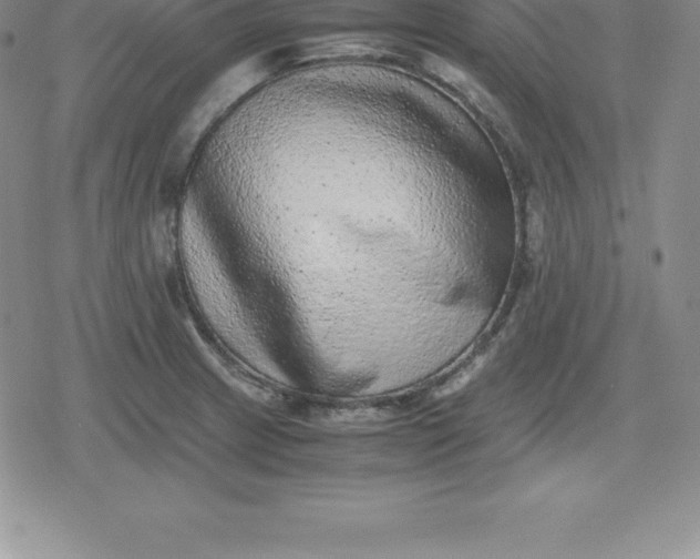 X0000080191233200612221332