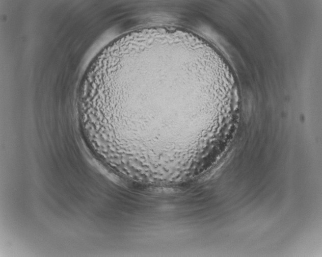 X0000080191235200612221332