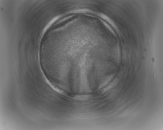 X0000080191237200612221333