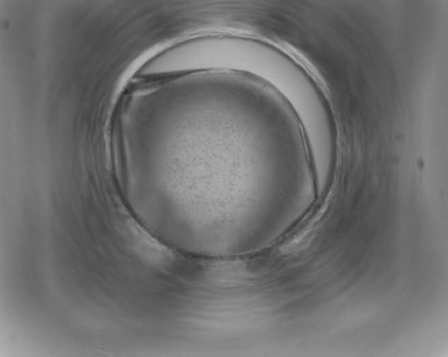 X0000080191238200612221333