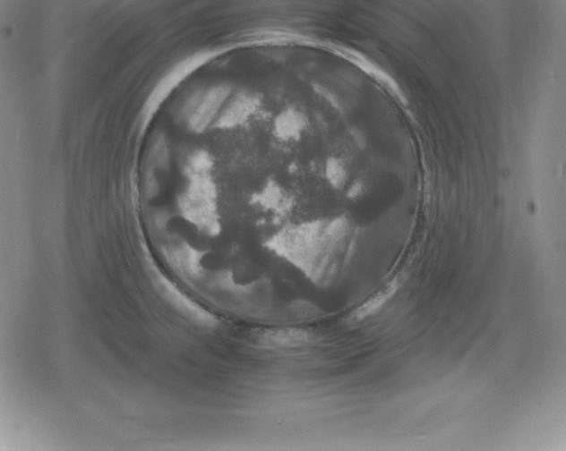 X0000080191239200612221333