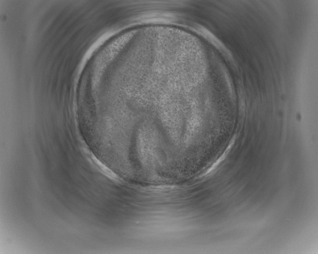 X0000080191240200612221333