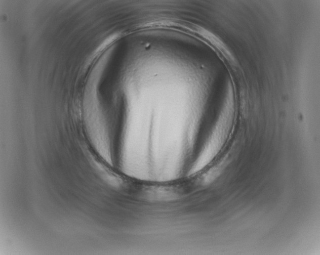 X0000080191241200612221333