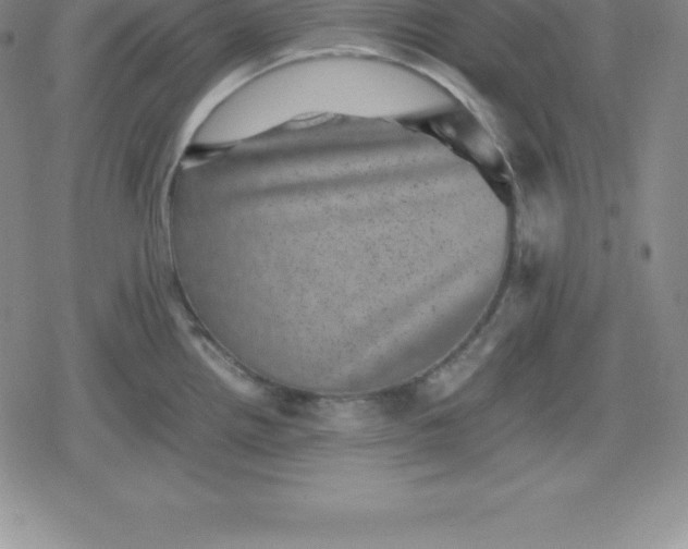 X0000080191242200612221333