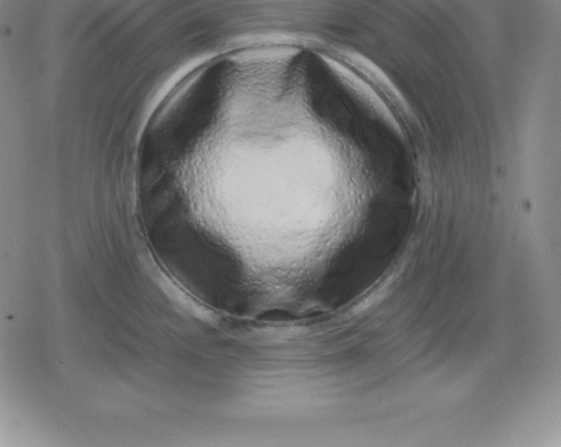 X0000080191244200612221333