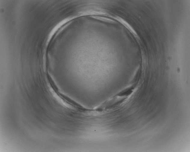 X0000080191246200612221333