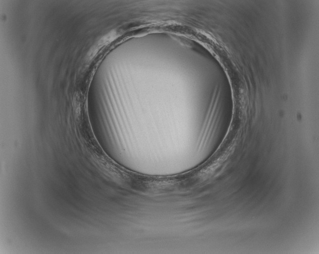 X0000080191257200612221332