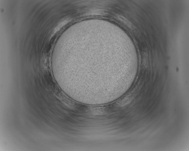 X0000080191258200612221332