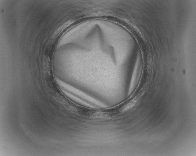 X0000080191265200612221332
