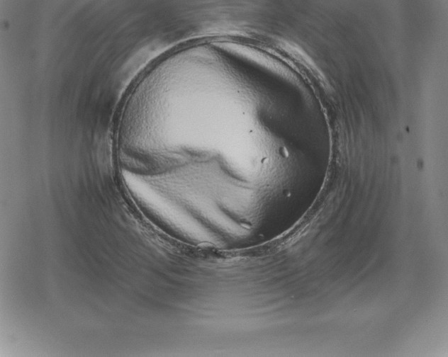 X0000080191268200612221332