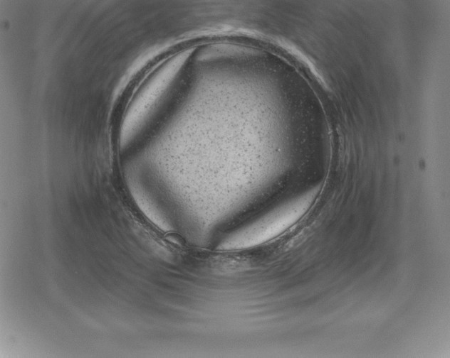 X0000080191270200612221332