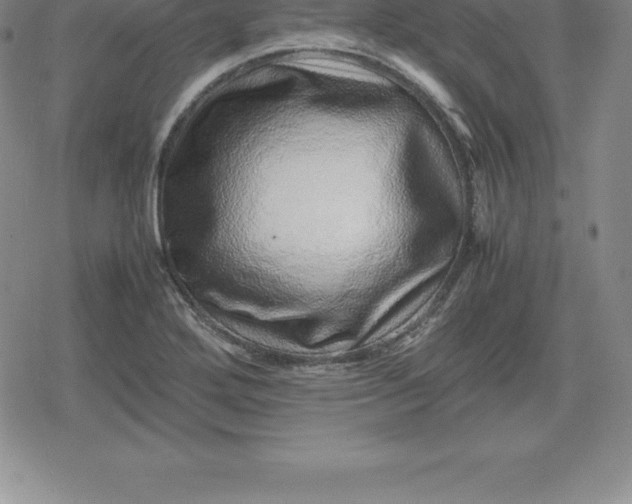 X0000080191272200612221332