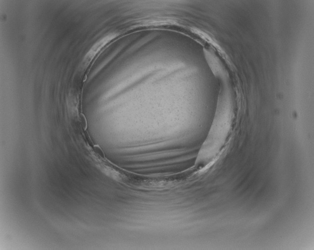 X0000080191273200612221332