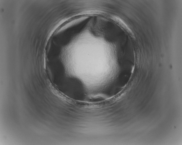 X0000080191276200612221331