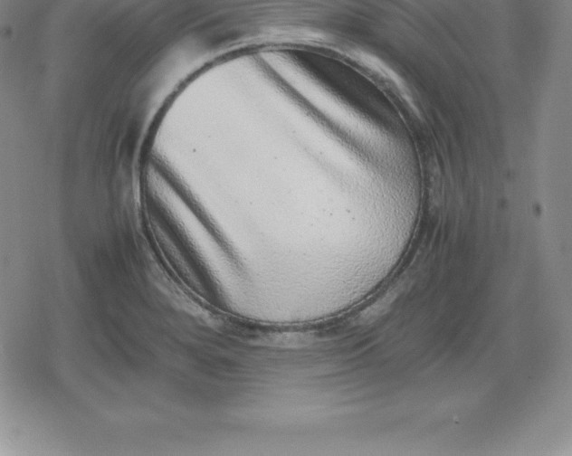 X0000080191280200612221331