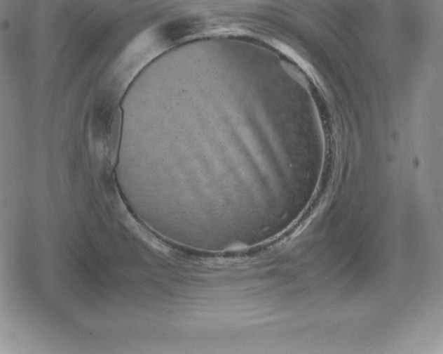 X0000080191281200612221331