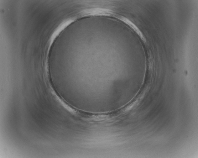 X0000080191285200612221331