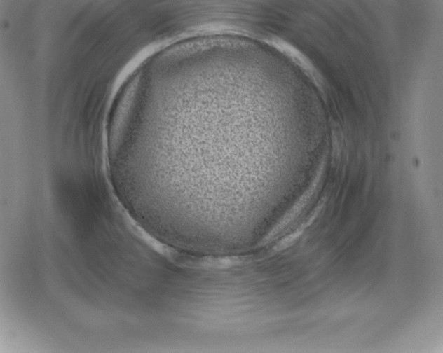 X0000080191286200612221331