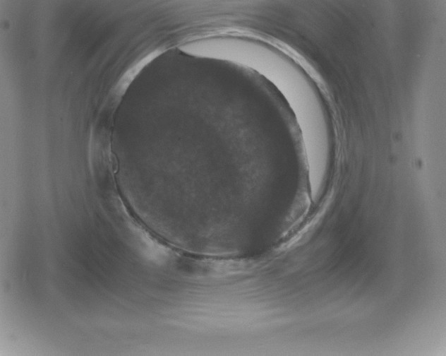 X0000080191289200612221331
