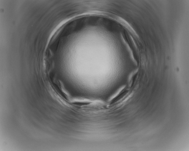 X0000080191292200612221331